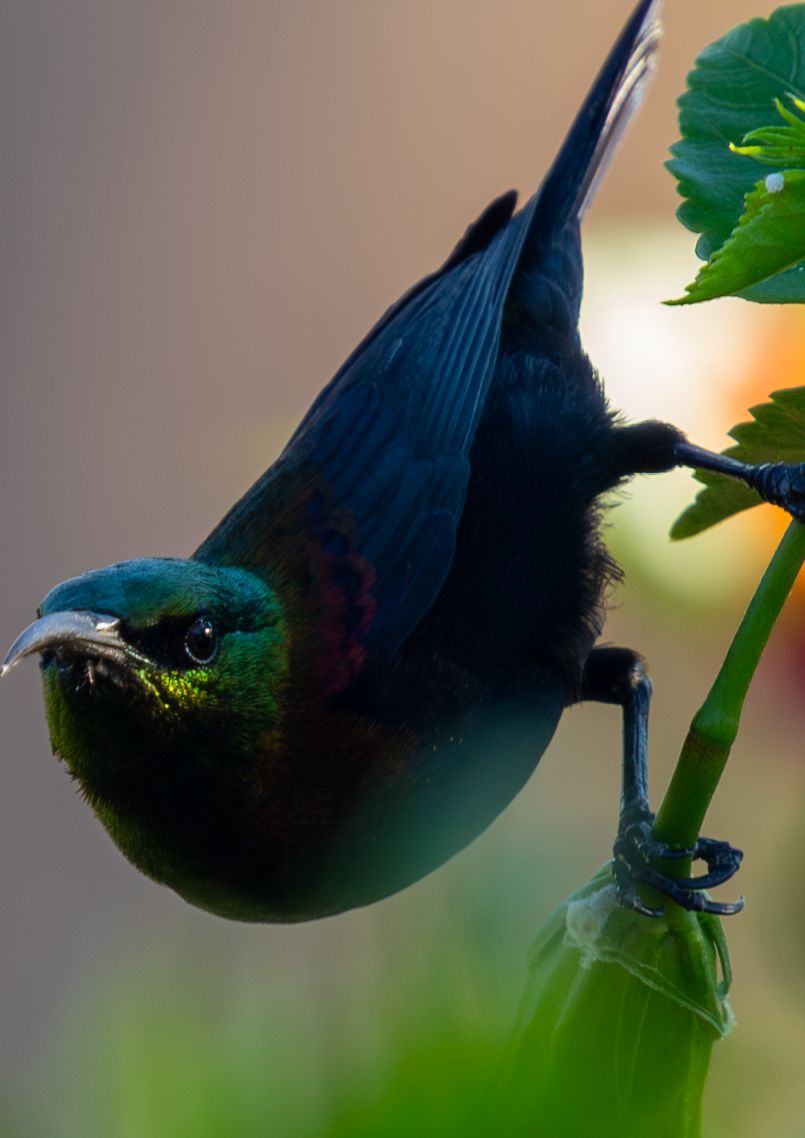 PHOTO-2025-10-28-12-43-13