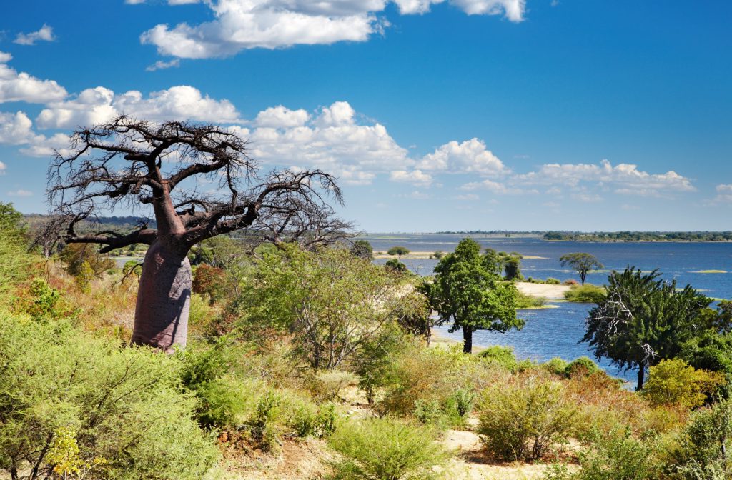 Chobe river on sunbirds lodge game drive