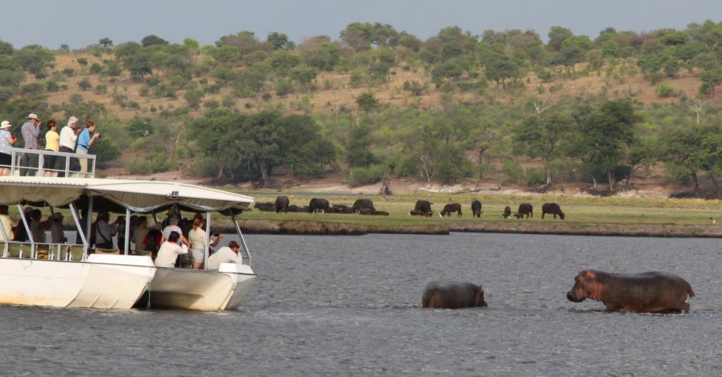 hippos on sunset boat cruise sunbirds lodge
