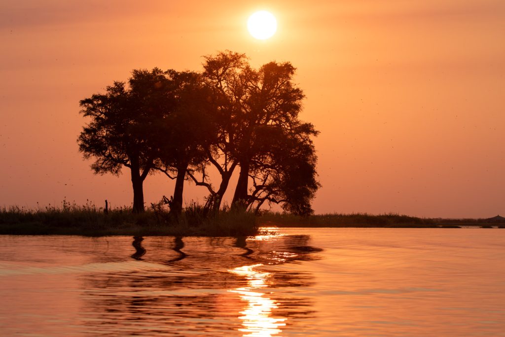 sunset boat cruise sunbirds lodge chobe
